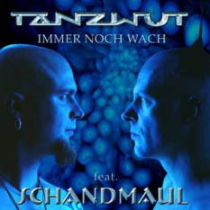 Tanzwut feat. Schandmaul