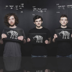 Elephant Sessions