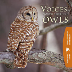 Voices of North American Owls