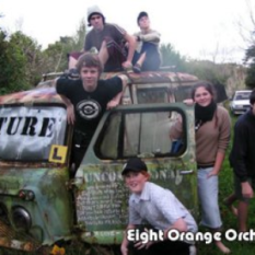 Eight Orange Orchard