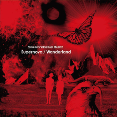 Supernova / Wanderland