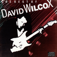 The Best of David Wilcox