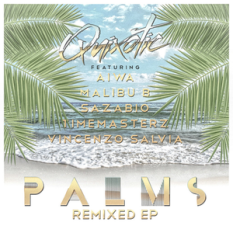 Palms Remixed EP