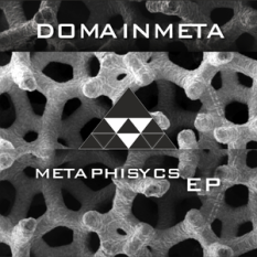 DomainMeta