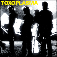 Toxoplasma