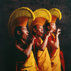 Tibetan Buddhist Monks from the Drepung Loseling Monastery