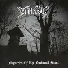 Mysteries of the Nocturnal Forest