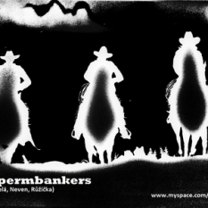 The Spermbankers