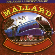 Mallard / In A Different Climate