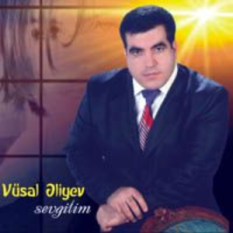 Vusal Aliyev