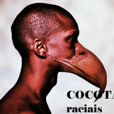 Cocotas Raciais