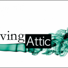 Living Attic