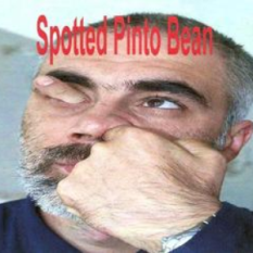 spotted pinto bean