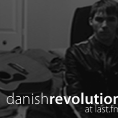 Danish Revolution