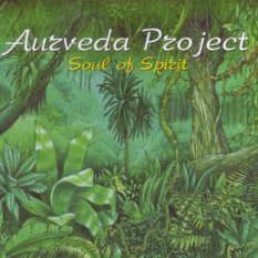 Aurveda Project
