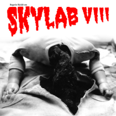 Skylab VIII