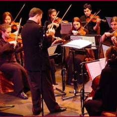 The Chamber Academy Orchestra