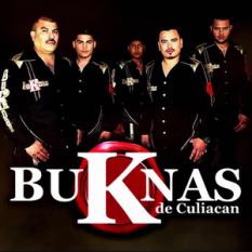 BuKnas De Culiacan