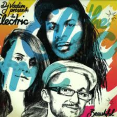 DJ Vadim Presents The Electric