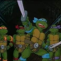 Die Ninja Turtles