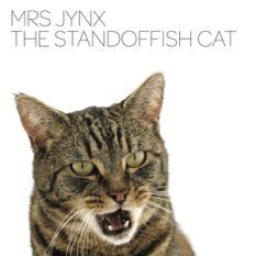 The Standoffish Cat
