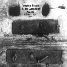 Vesica Piscis & 48 Cameras