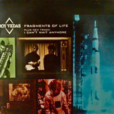Fragments of Life