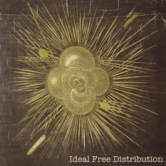 Ideal Free Distribution