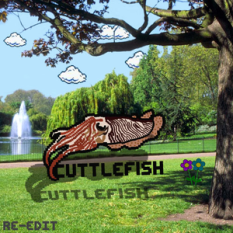 Cuttlefish