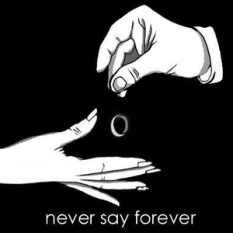 Never Say Forever
