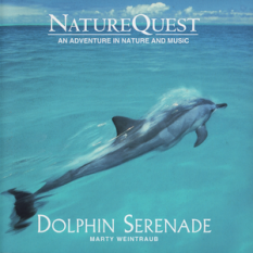 Dolphin Serenade