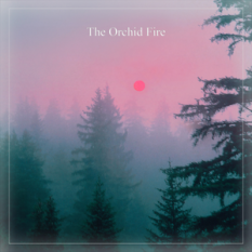 The Orchid Fire
