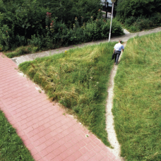 Caminitos del deseo