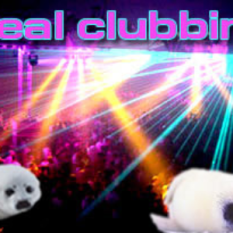 the clubbin' seals!