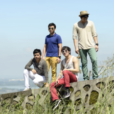 Callalily