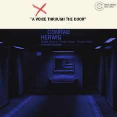 A Voice Through The Door