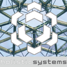 Holistic Systems