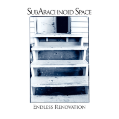 Endless Renovation