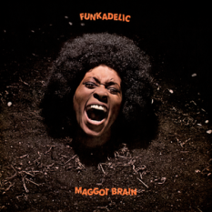 Maggot Brain