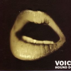 VOICE