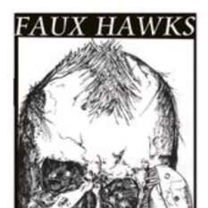 The Faux Hawks