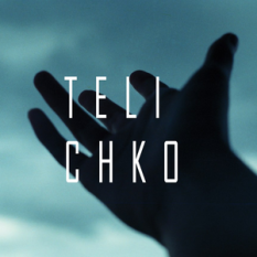 Telichko Inc.