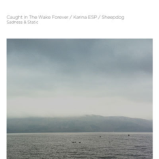 Caught In The Wake Forever / Karina ESP / Sheepdog