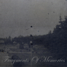 Fragments of Memories