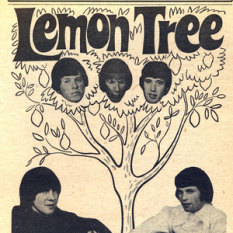 Lemon Tree