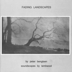 Fading Landscapes