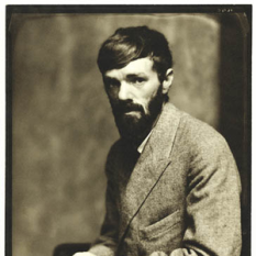 D. H. Lawrence