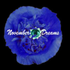 November Dreams