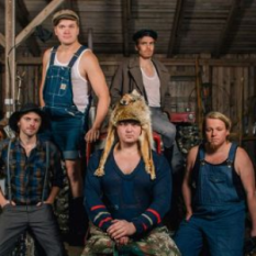 Steve ’n’ Seagulls