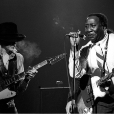 Johnny Winter & Muddy Waters